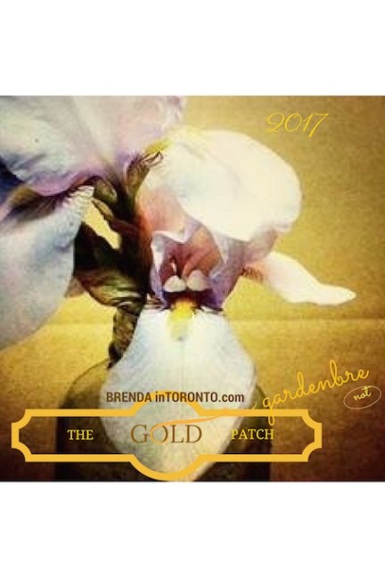 copy-of-patch-2-copy-2